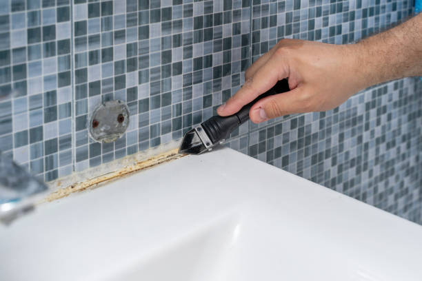Best Post-Flood Mold Remediation in Audubon Park, NJ