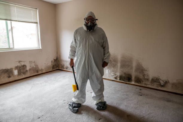 Best DIY Mold Remediation Support Services in Audubon Park, NJ